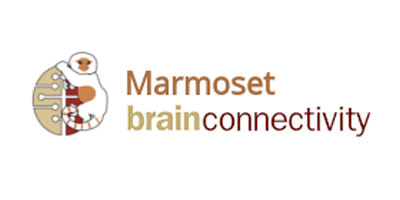 Marmoset Brain Connectivity Atlas (Australian Node and Polish Node)